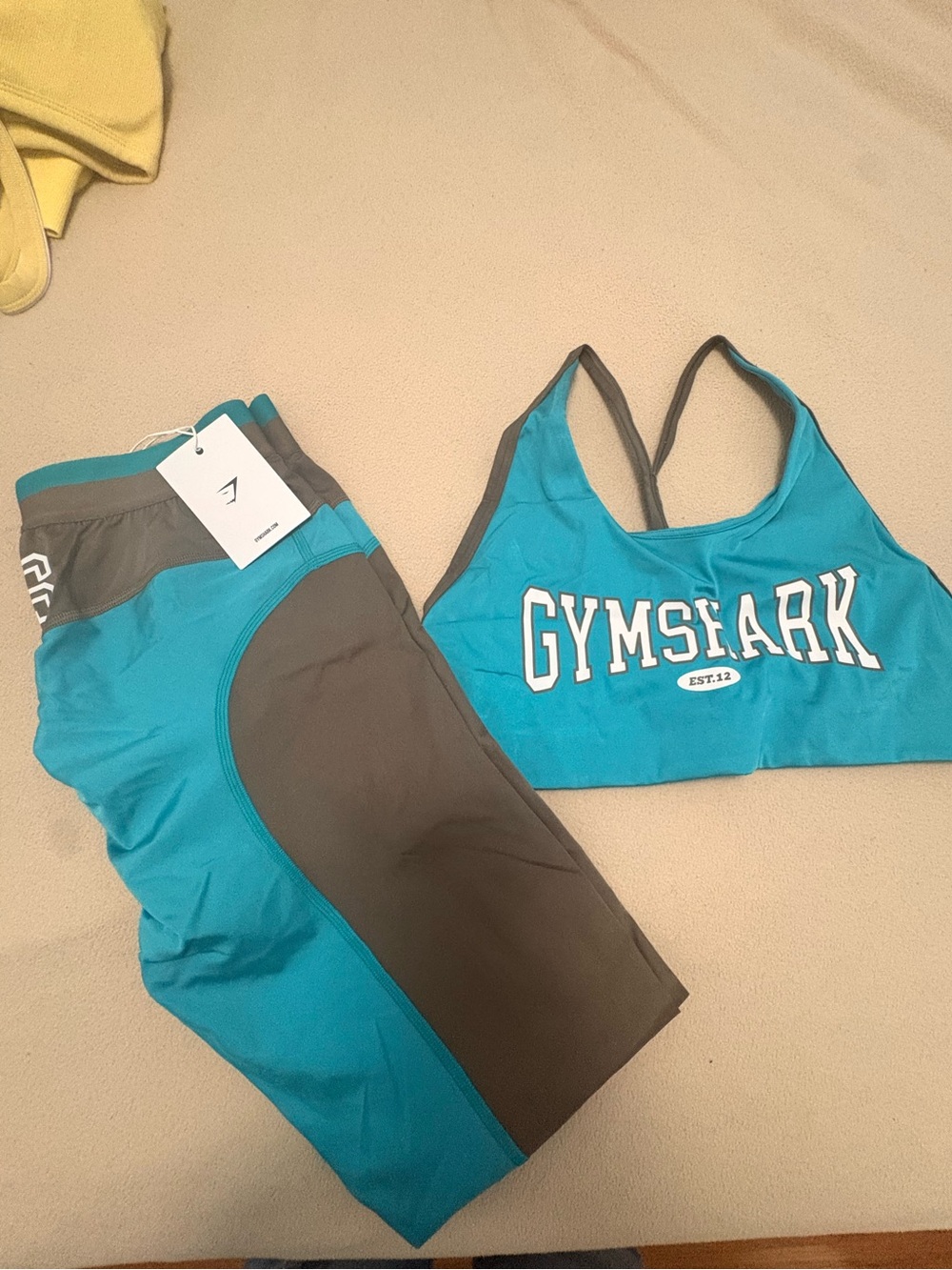 Gymshark Retro Teal and Gray Gym Set
